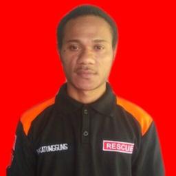Profil CV Paul P Katunggung