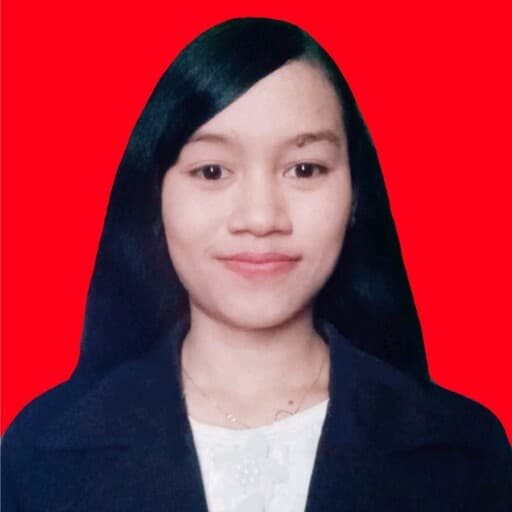 CV Amanda Reysanti