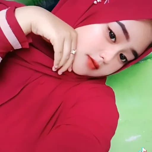 CV Ameliq