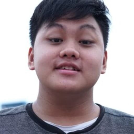 CV Andre Stevan