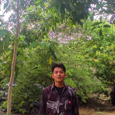 Profil CV Aris Setiawan 