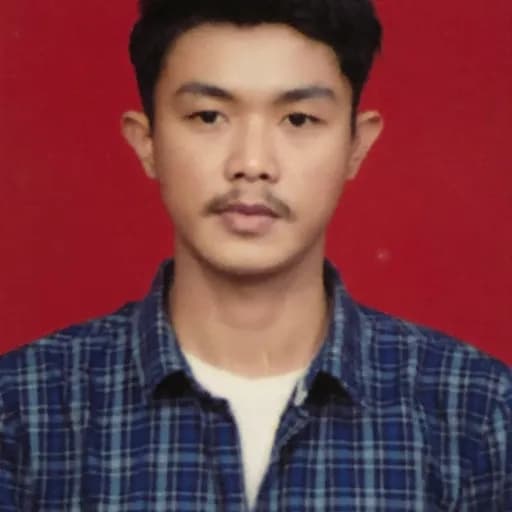 CV David Marlubis