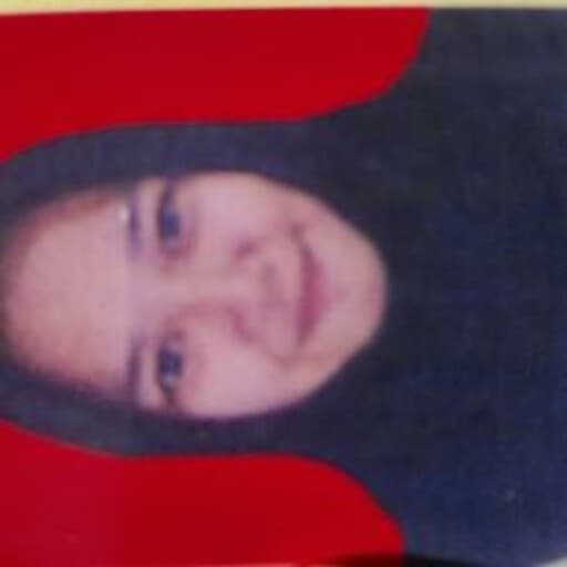 CV Dea Safitri