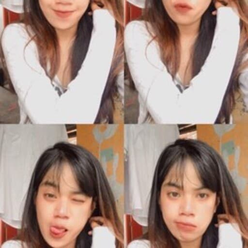 CV Dinda Akmita