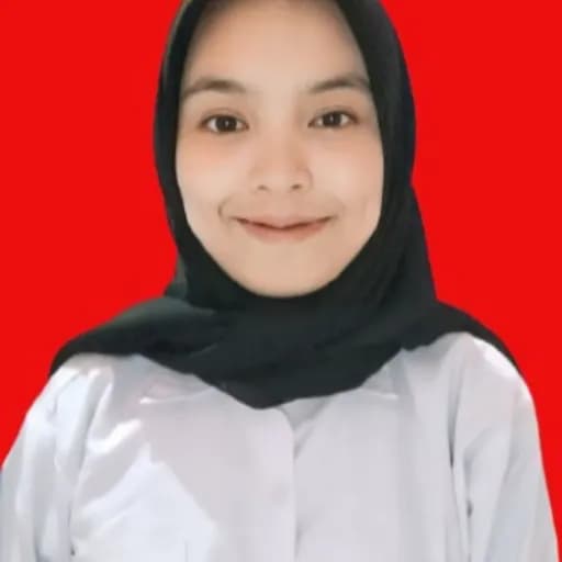 CV Dini Nur Safitri