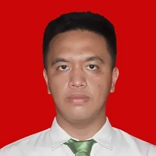 CV Erik Dommanggo