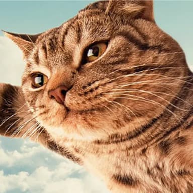 Profil CV ezadwi haryanto