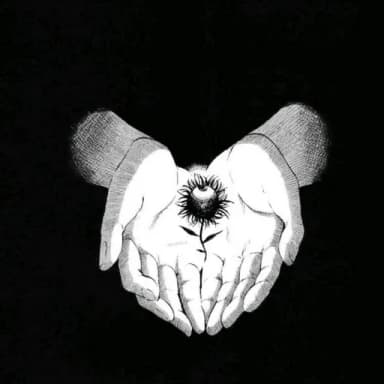 Profil CV Kansei Dorifto