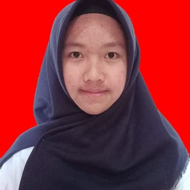 Profil CV Nur Risna Romadonia