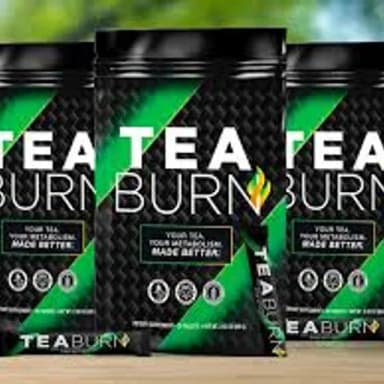 Profil CV teaburnreviewbenefits