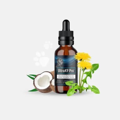 Profil CV Ultra9ProOffers