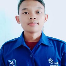 Profil CV Zaenal Arifin