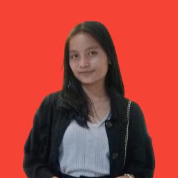 Profil CV Pebri Sihombing 