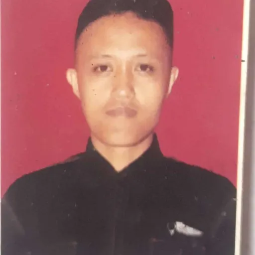 Profil CV Alan hadju - Driver