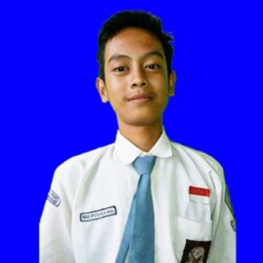 Profil CV Ari Permana - Helper