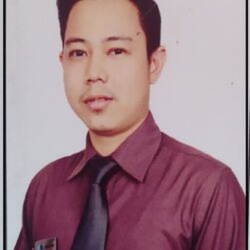 Profil CV Ari Prata Riadi - Corporate Business Executive