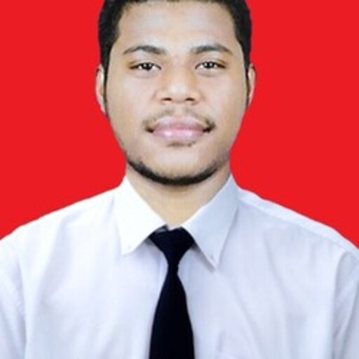 Profil CV Hein Piter Manupapami - Teller