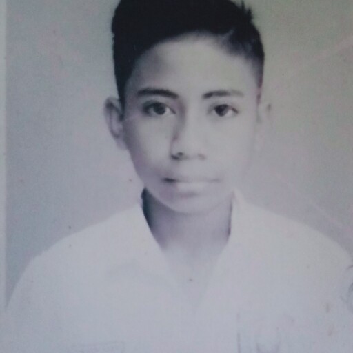 Profil CV Tirvan Markus Panie - sma